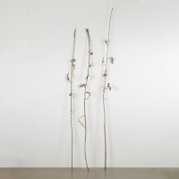 <a href=https://www.galeriegosserez.com/gosserez/artistes/vettier-aurece.html>Aurèce Vettier</a> - bitter hemp
